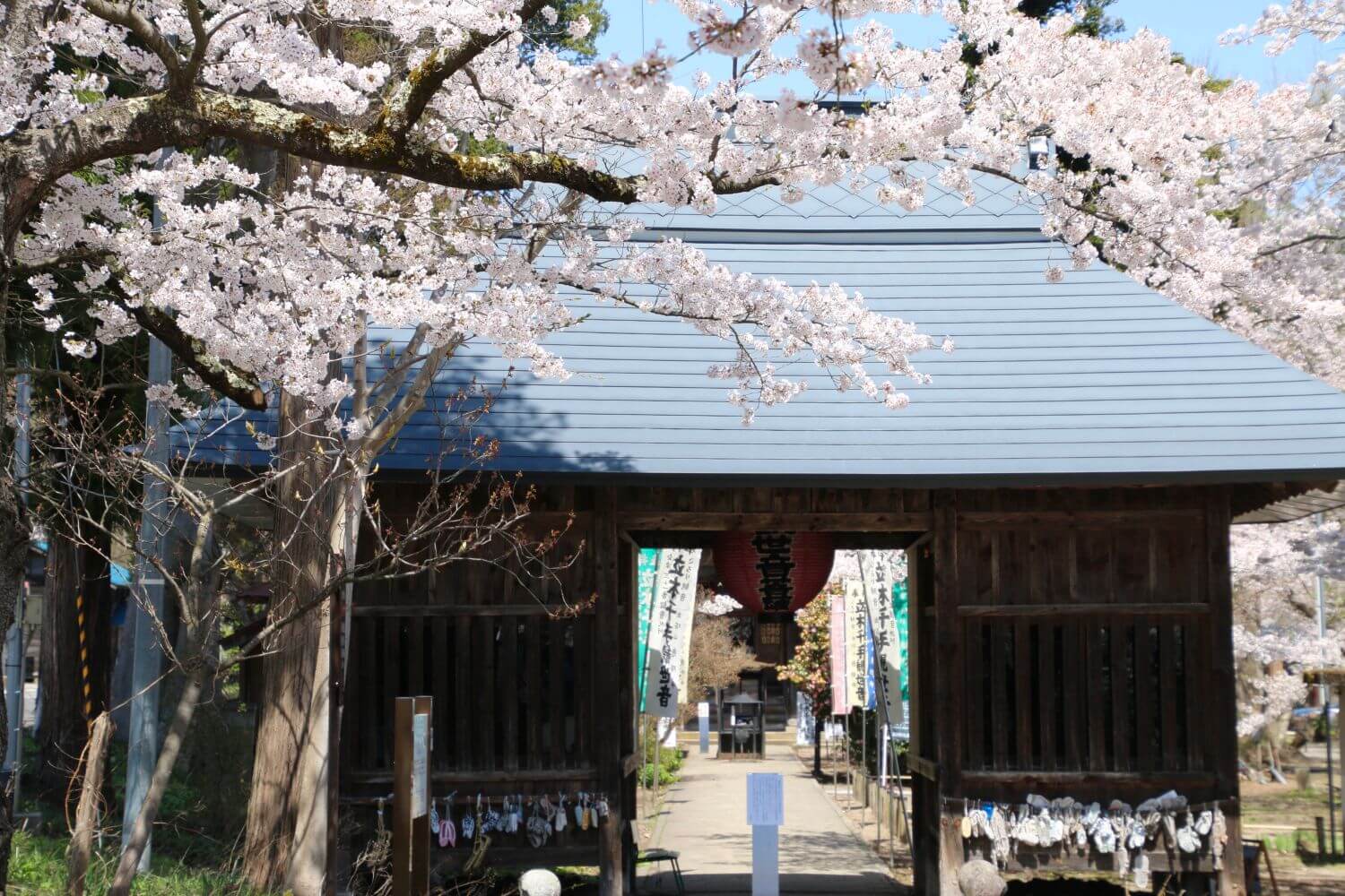 会津坂下町のホームページ制作