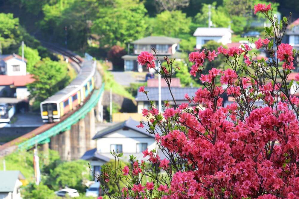 塙町のホームページ制作